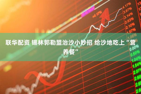 联华配资 锡林郭勒盟治沙小妙招 给沙地吃上“营养餐”