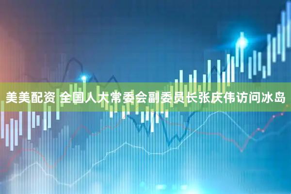 美美配资 全国人大常委会副委员长张庆伟访问冰岛