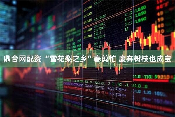鼎合网配资 “雪花梨之乡”春剪忙 废弃树枝也成宝