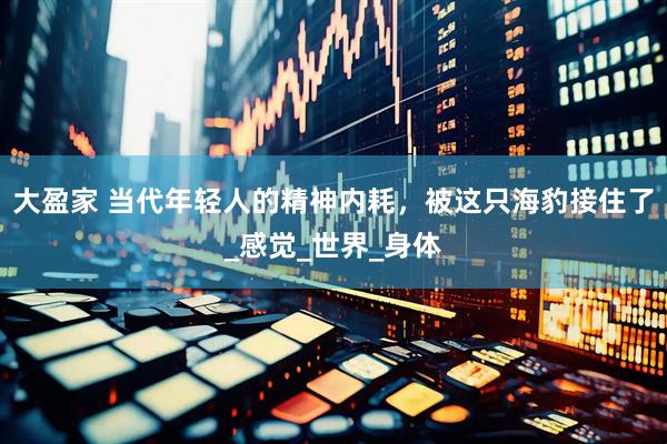 大盈家 当代年轻人的精神内耗，被这只海豹接住了_感觉_世界_身体
