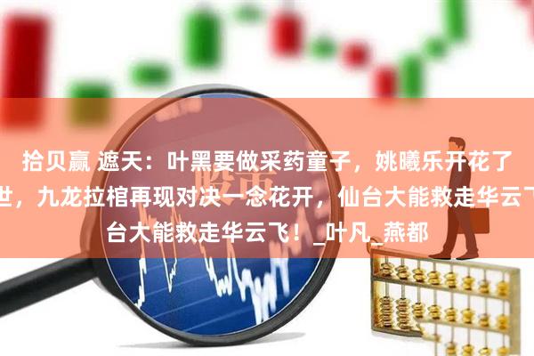 拾贝赢 遮天：叶黑要做采药童子，姚曦乐开花了，狠人传承现世，九龙拉棺再现对决一念花开，仙台大能救走华云飞！_叶凡_燕都