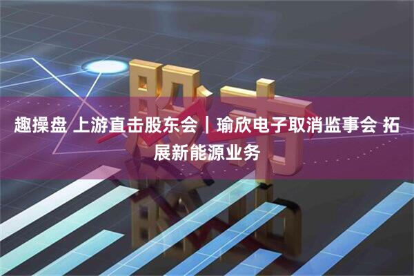 趣操盘 上游直击股东会｜瑜欣电子取消监事会 拓展新能源业务