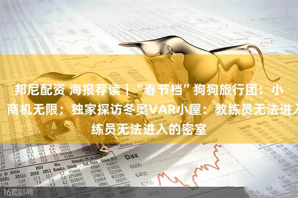 邦尼配资 海报荐读｜“春节档”狗狗旅行团：小狗出门，商机无限；独家探访冬奥VAR小屋：教练员无法进入的密室